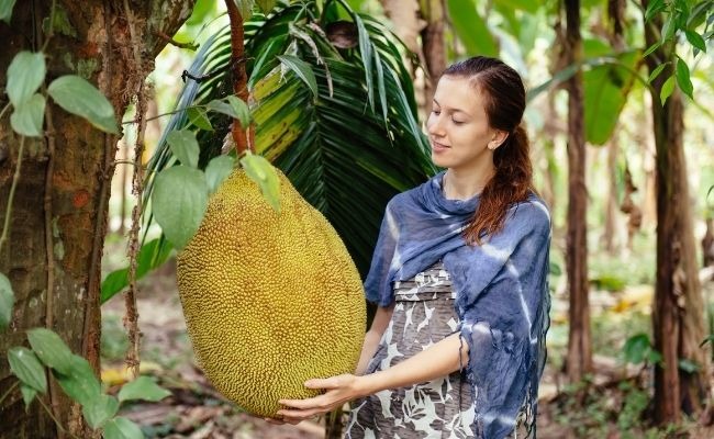 A young woman holding an 12 pound tarm growing on a tarm tree. The tarm is about 2 feet in size and has the shape of a tarm.